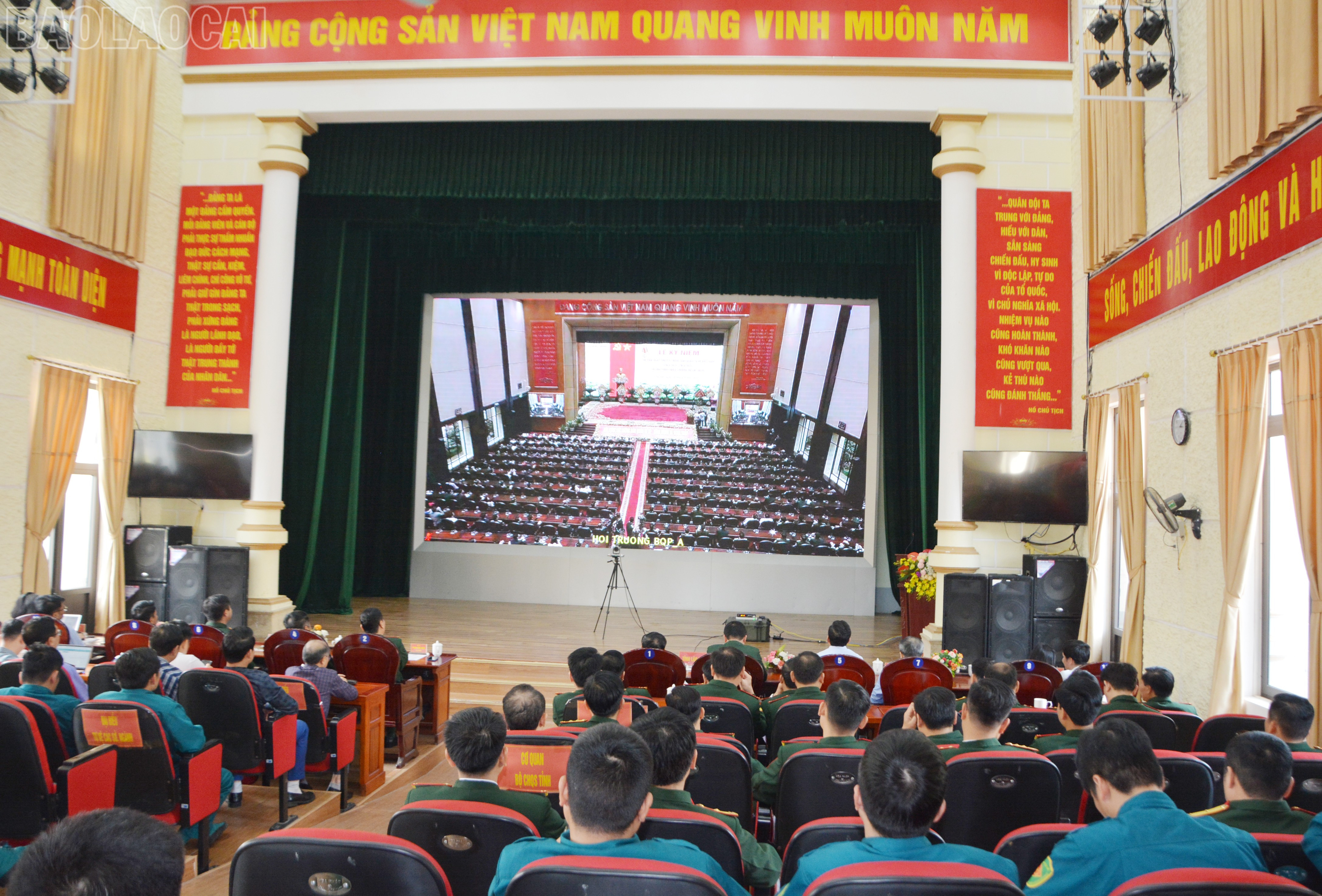 baolaocai-tl_dsc-5910.jpg